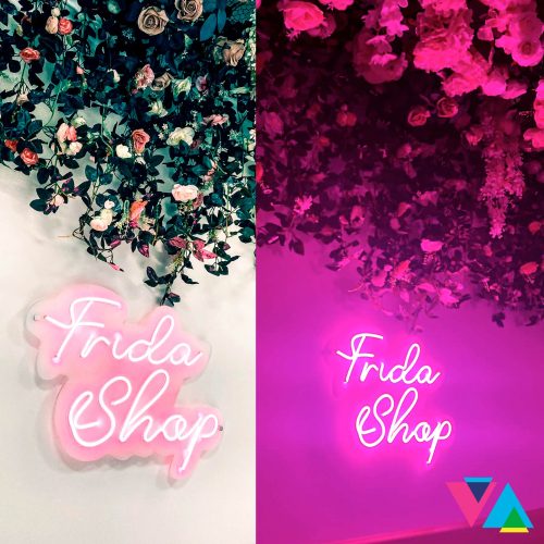 frida_insegna
